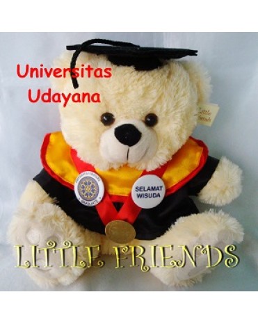 Boneka Wisuda Universitas Udayana - Hukum Internasional (30 cm)